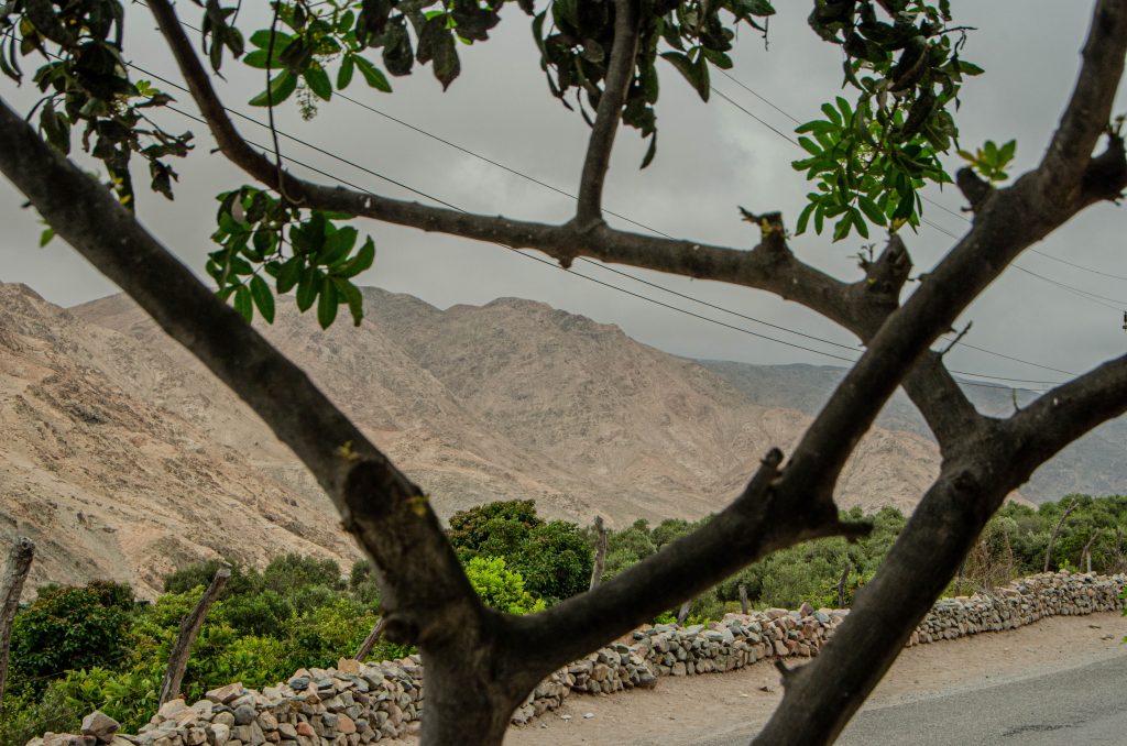 Dolina Atico, Peru