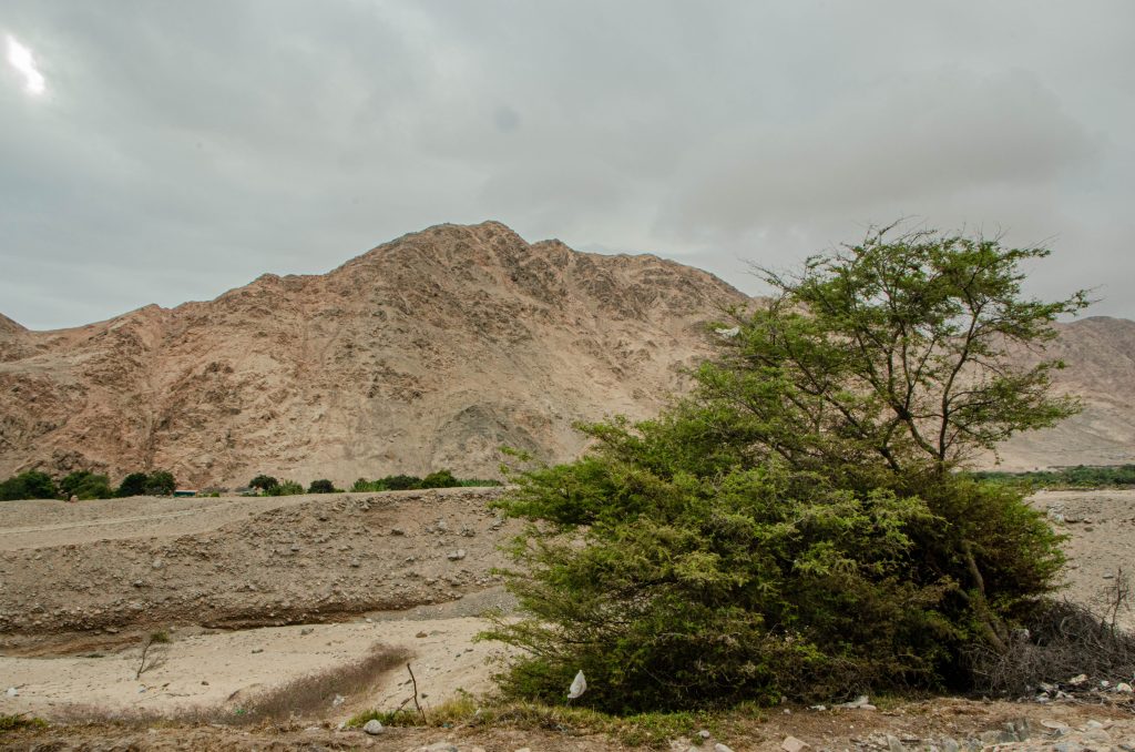 Dolina Atico, Peru