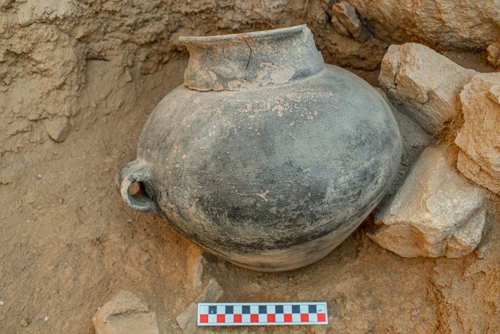 prace wykopaliskowe na stanowisku Puyenca, Peru