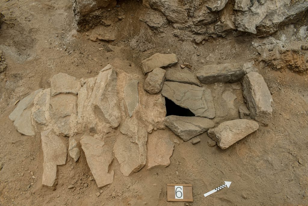 prace wykopaliskowe na stanowisku Puyenca, Peru