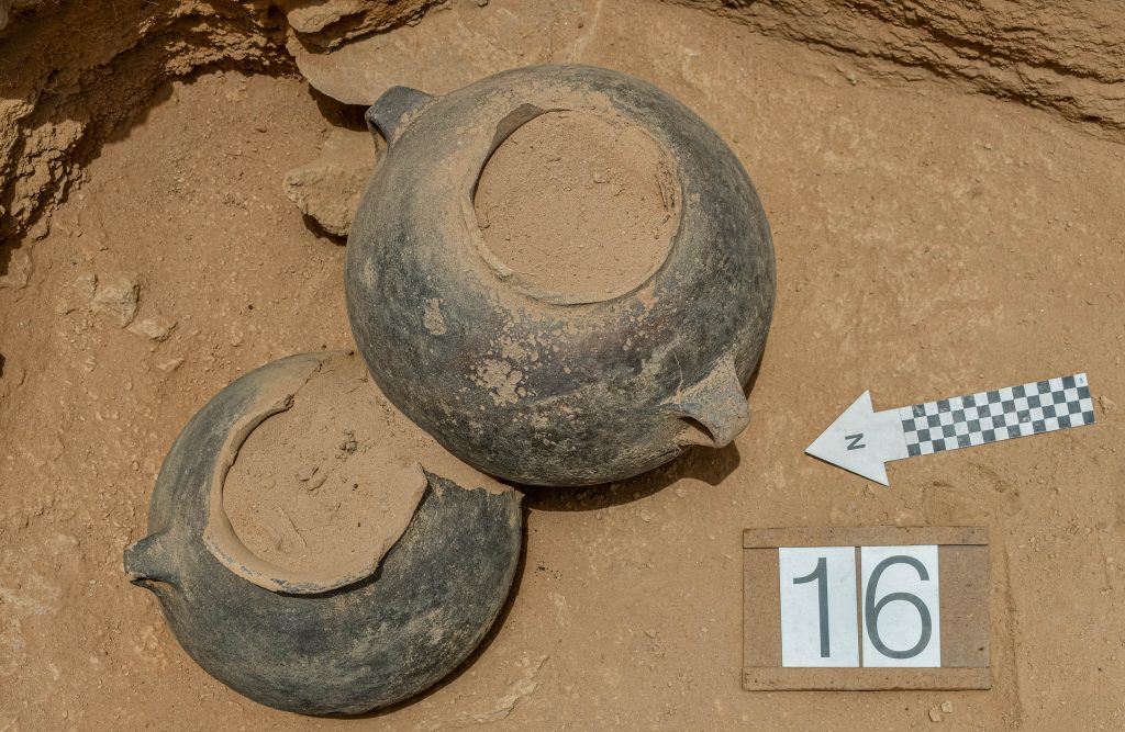 prace wykopaliskowe na stanowisku Puyenca, Peru
