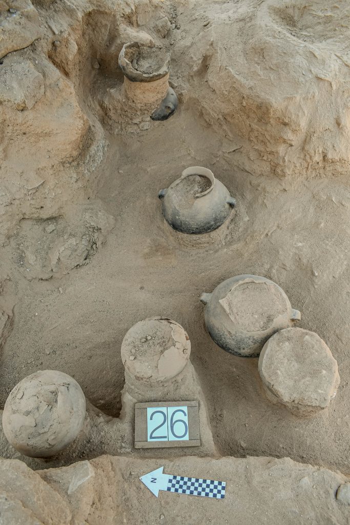 prace wykopaliskowe na stanowisku Puyenca, Peru
